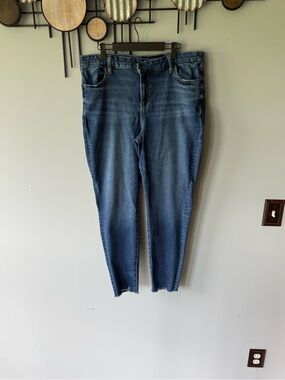 American Eagle Outfitters Dark Blue Skinny Jeans 16L